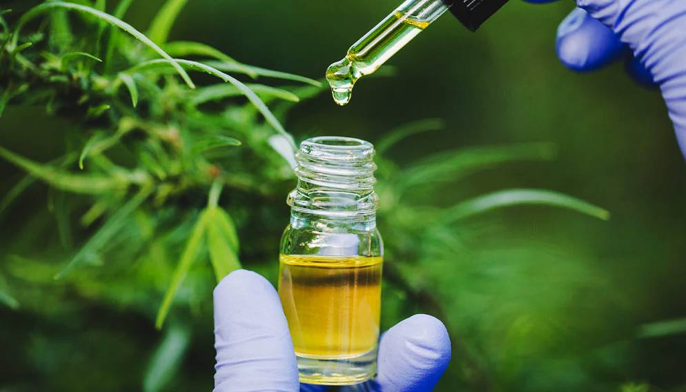 Магазин за вейпове: Как да изберем подходящ и надежден търговец