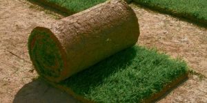 Зачимяване – какво да правите и какво да избягвате в процеса