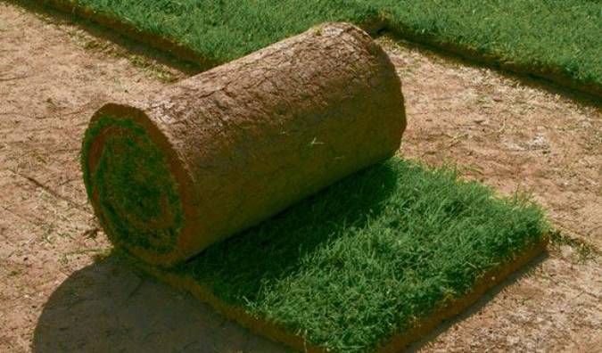 Зачимяване – какво да правите и какво да избягвате в процеса